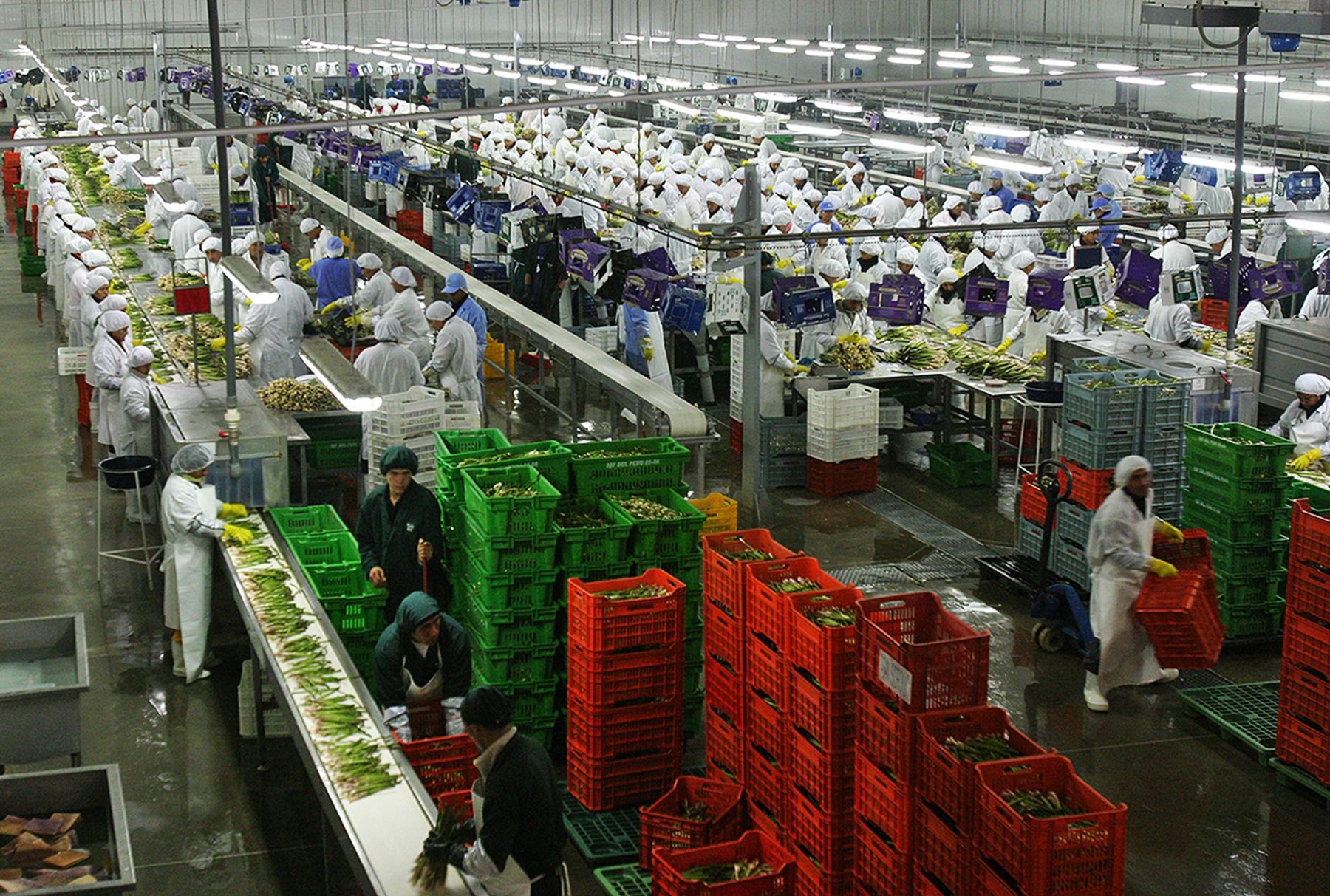 Comex Perú: Agroexportaciones no tradicionales superaron los US$ 5,000  millones | Radio Nacional