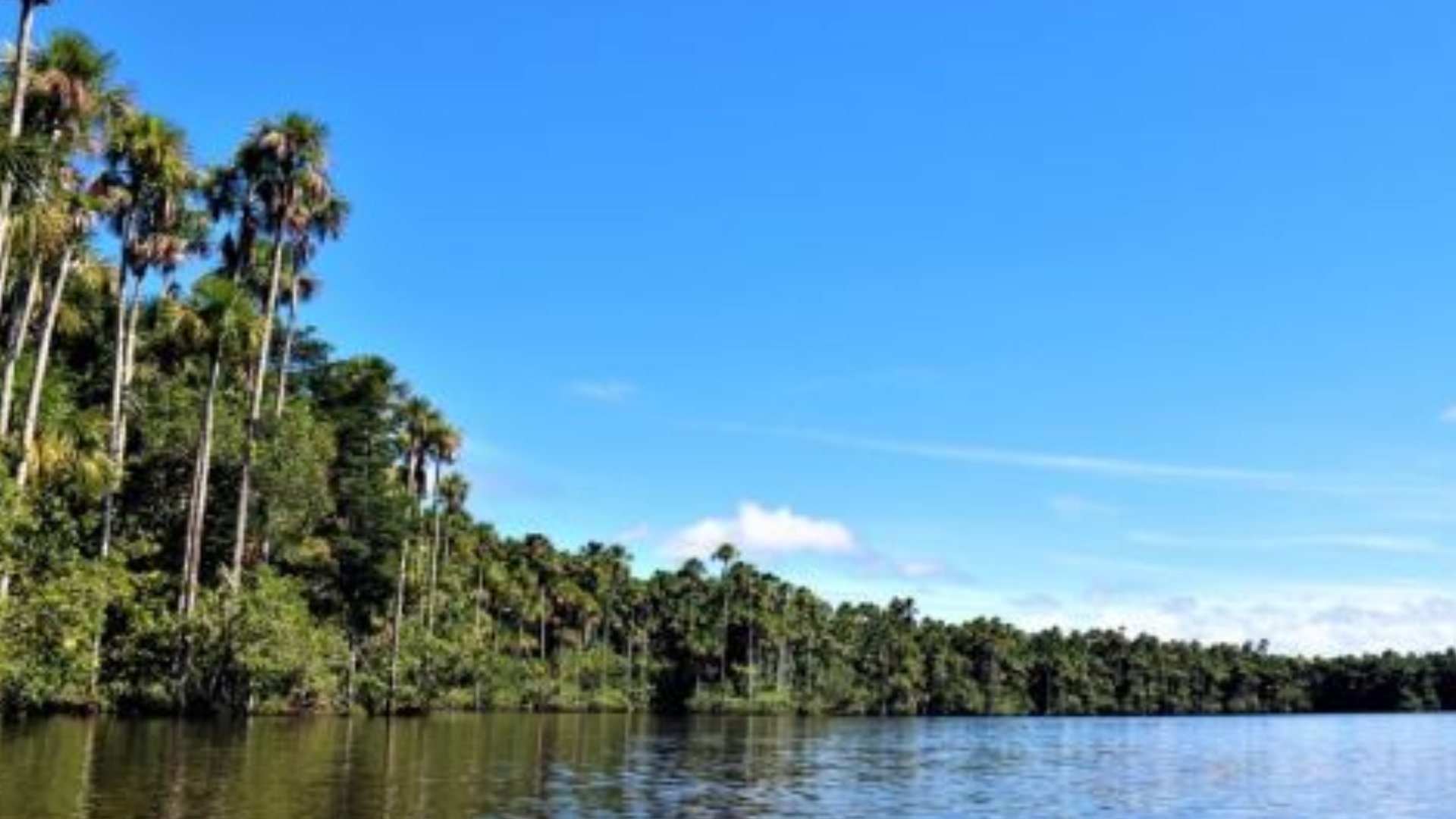 Reserva Nacional de Tambopata