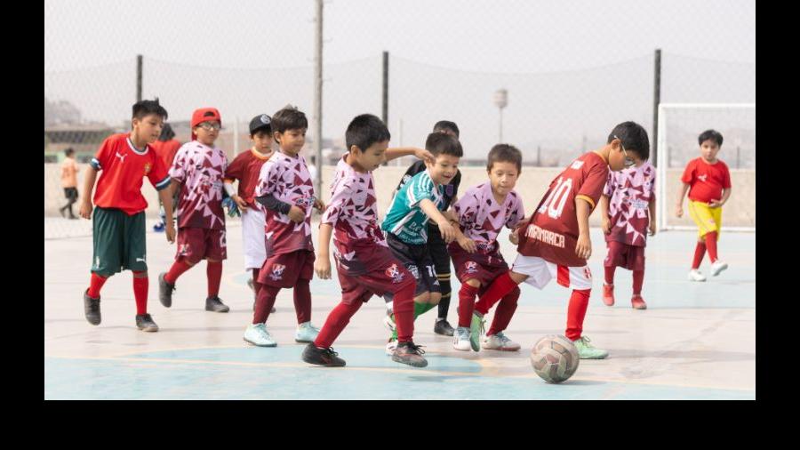 Academia IPD temporada invierno