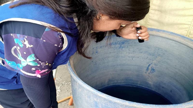 Dengue en Lambayeque 