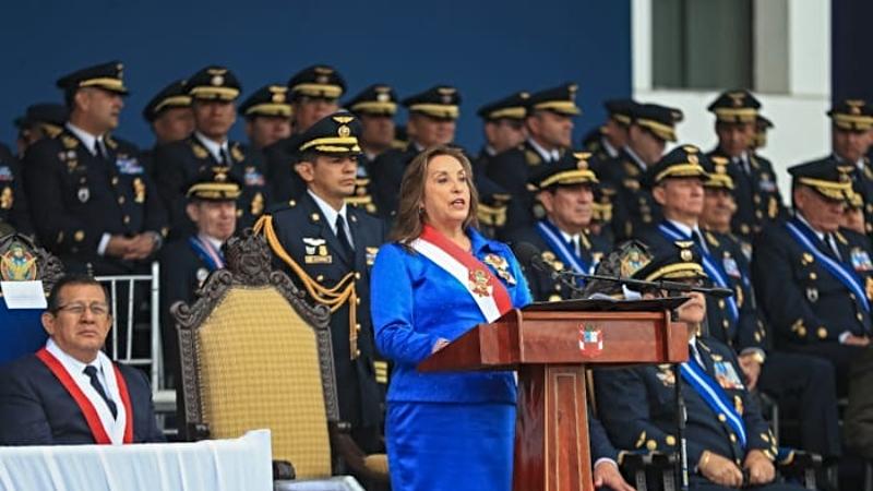 Fap QUiñones presidenta dina