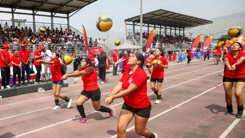 IPD academia Verano 2026