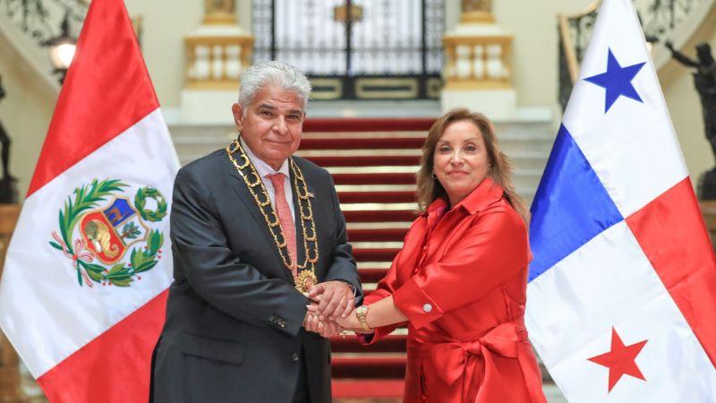 Presidenta Dina Boluarte