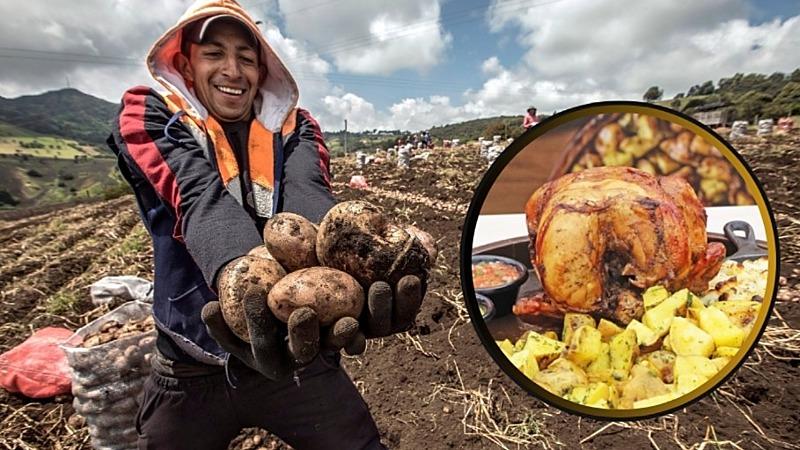Midagri día del pollo a la brasa avícola agricultura