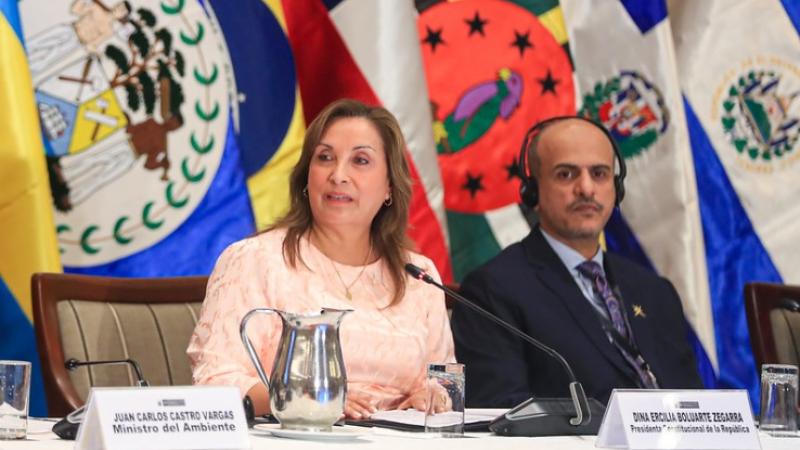 Dina Boluarte