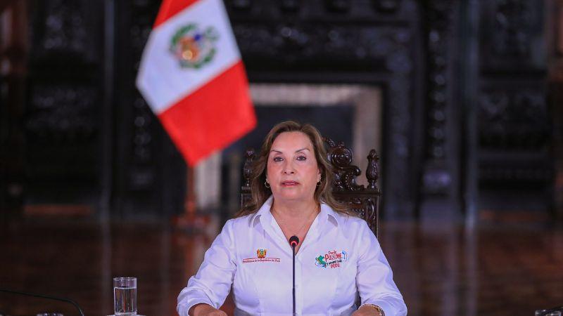 Presidenta Dina Boluarte
