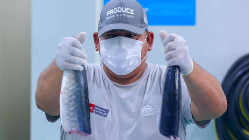 Callao Produce pescado acuicultura pesca