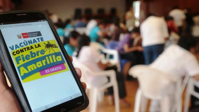fiebre amarilla