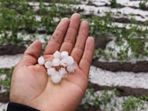 Granizo lluvia nieve
