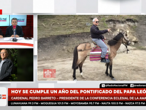 Papa León XIV  Cardenal Pedro Barreto