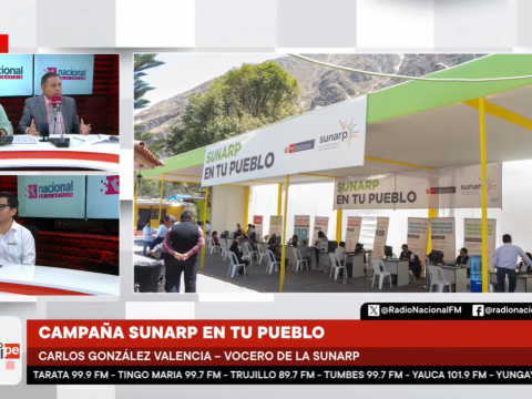 Sunarp 