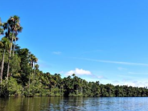 Reserva Nacional de Tambopata