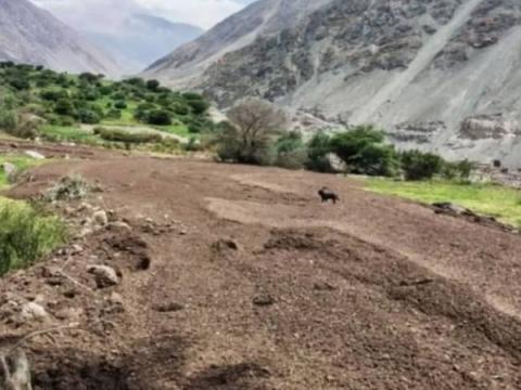 Riesgo por precipitaciones 