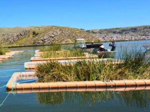 Lago Titicaca