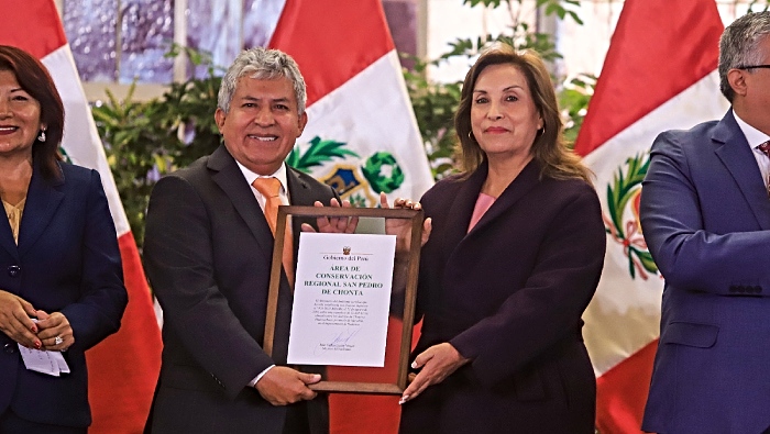 Dina Boluarte huánuco frontón