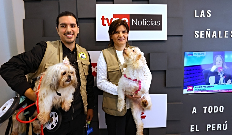 irtp tvPerú Notas valores