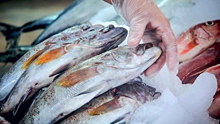 pescado semana santa produce