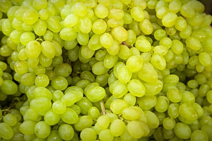 uvas midagri
