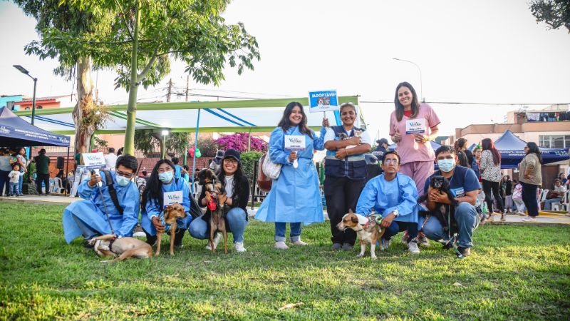 La Victoria mascotas